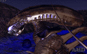 alien3.gif (9111 bytes)